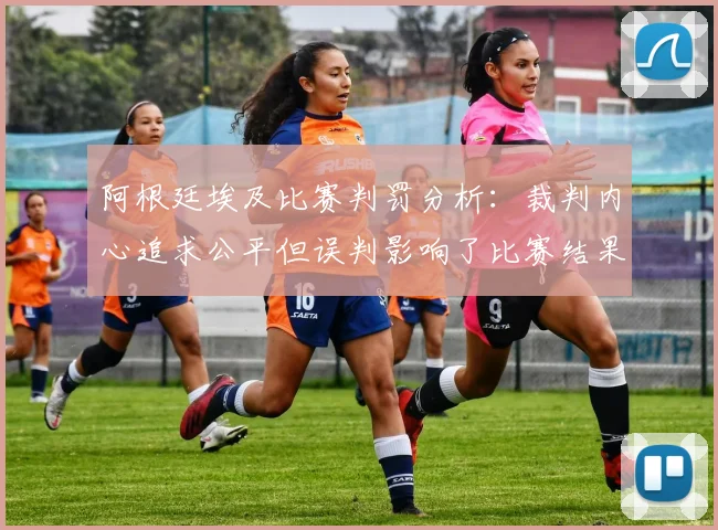 阿根廷埃及比赛判罚分析：裁判内心追求公平但误判影响了比赛结果