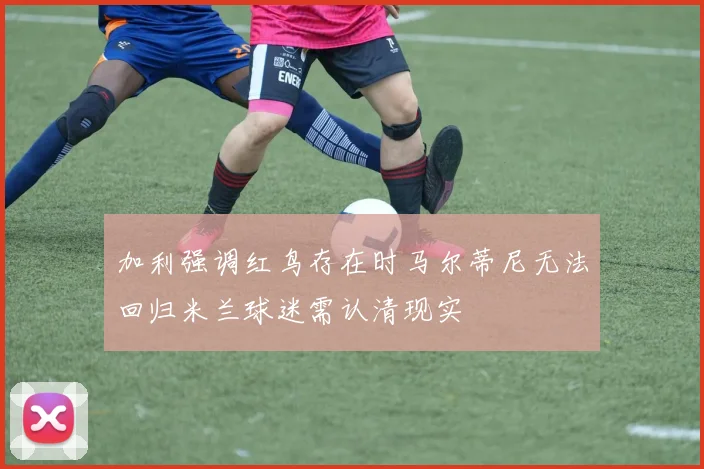加利强调红鸟存在时马尔蒂尼无法回归米兰球迷需认清现实