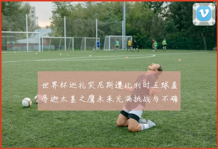 世界杯巡礼突尼斯遭比利时五球羞辱迦太基之鹰未来充满挑战与不确定性