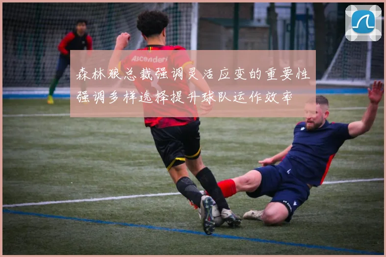 森林狼总裁强调灵活应变的重要性强调多样选择提升球队运作效率