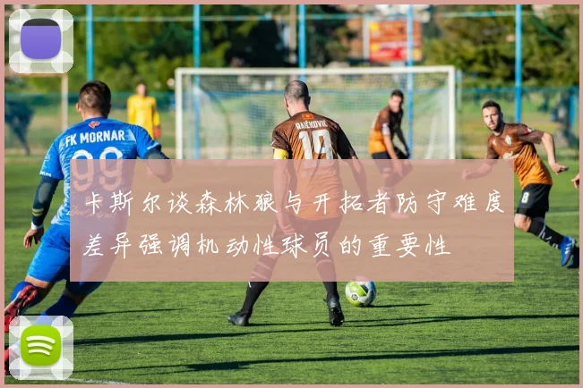 卡斯尔谈森林狼与开拓者防守难度差异强调机动性球员的重要性