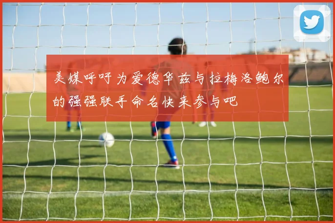 美媒呼吁为爱德华兹与拉梅洛鲍尔的强强联手命名快来参与吧