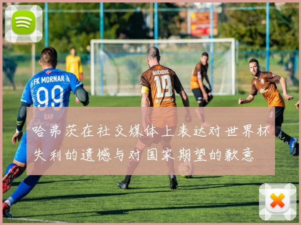 哈弗茨在社交媒体上表达对世界杯失利的遗憾与对国家期望的歉意